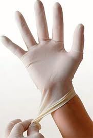 Powder Free Latex Gloves